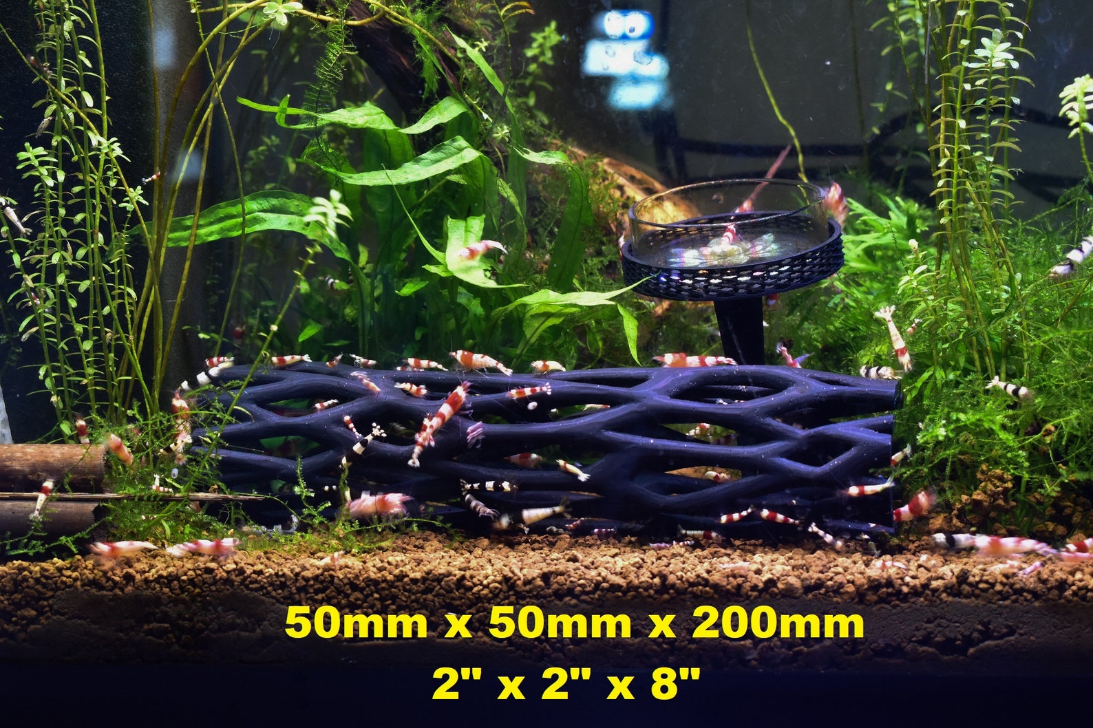 3D Printed Cholla Wood Aquarium and Art Decoration Etsy UK