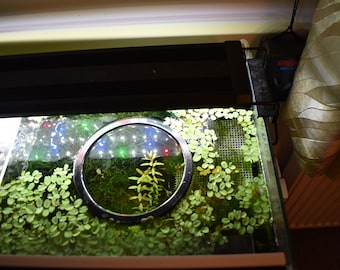 The "Delmaring" Aquarium floating plant and feeding rings various shapes colours Duckweed, Salvinia, Frogbit etc.