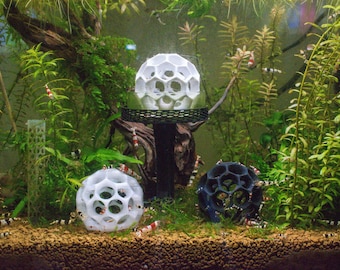 Garnalenhuiden: aquariumdecoratie voor Caridina en Neocaridina