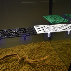 Op de afbeelding: Drie zwarte, witte en groene plantenplanken van plastic met zuignappen. De planken zijn ontworpen met een decoratief, ingewikkeld patroon. De planken zijn bevestigd aan de binnenkant van een glazen aquarium.