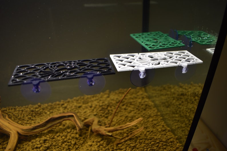 Op de afbeelding: Drie zwarte, witte en groene plantenplanken van plastic met zuignappen. De planken zijn ontworpen met een decoratief, ingewikkeld patroon. De planken zijn bevestigd aan de binnenkant van een glazen aquarium.