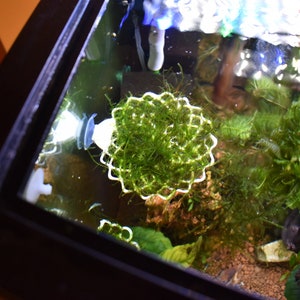 How to make Floating Marimo Moss Ball, by Michael Langerman