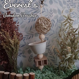 Everest&#39;s Natural Forager Hanging Toy for Hamsters, Gerbils, Mice, Fancy Rats, Parakeets - Small Animal Enrichment and Cage Decor