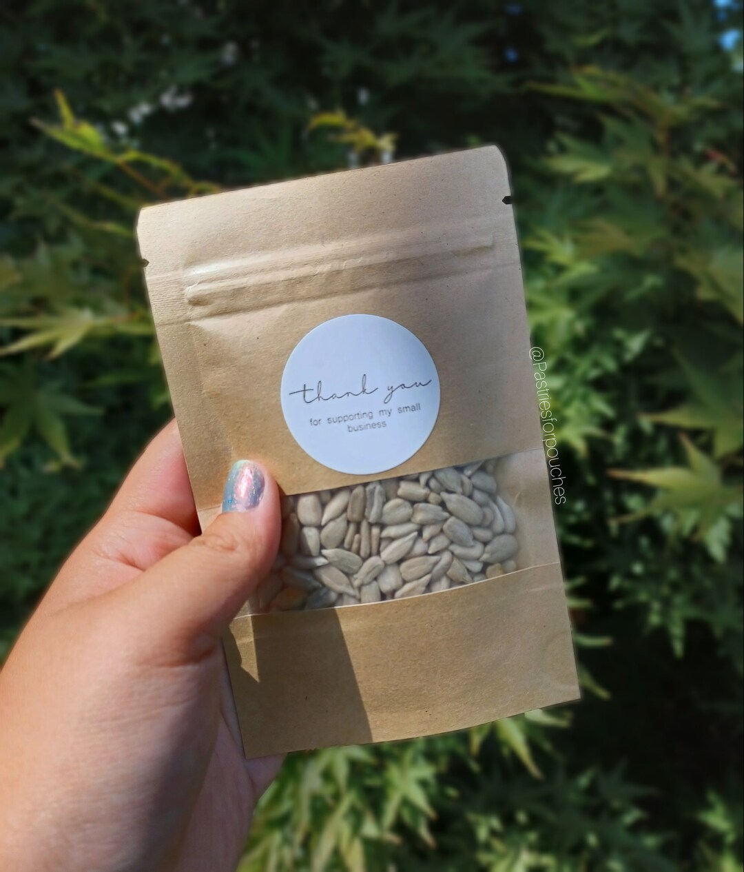 Organic Raw Sunflower Seeds for Hamsters, Gerbils, Mice, Fancy Rats