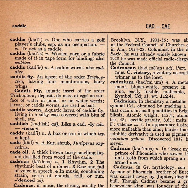 Caddie Dictionary Definition at Guadalupe McCoy blog