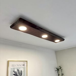 May include: A dark brown rectangular ceiling light fitting with three recessed lights. The fitting is mounted on a white ceiling. A framed print with the word "BLOSSOM" is visible on the wall below.