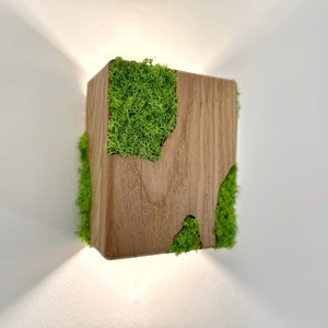Plug in wall wood sconce, moss wall art, wall bedside lamp, handmade wall light, lampshade, preserved moss, wood pendant light, trending now