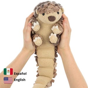 ENGLISH/ESPAÑOL pdf パターン、センザンコウ