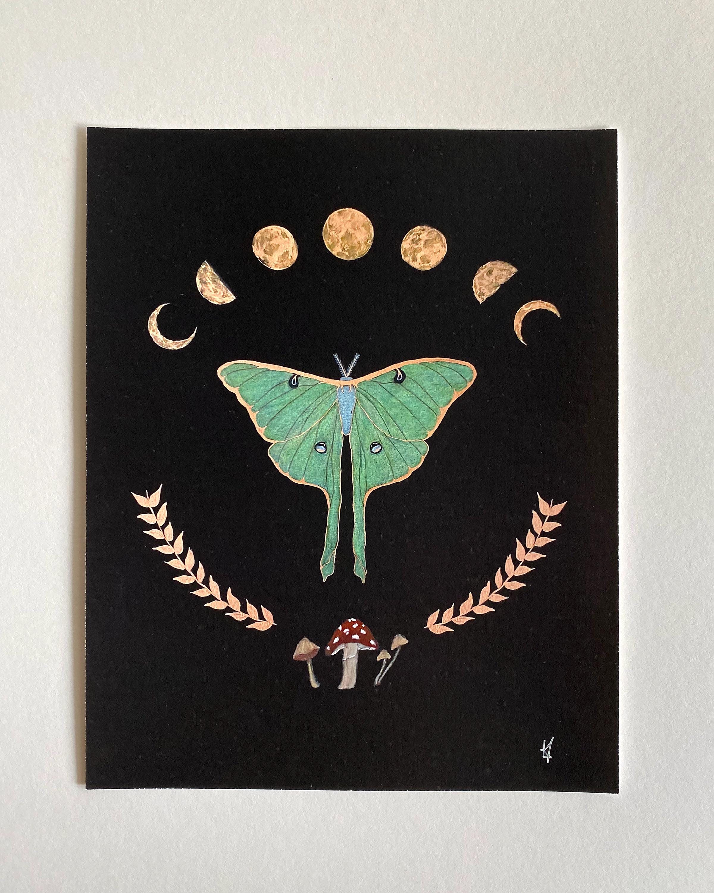 Luna Moth Art Print Set: Phases of the Moon, Cottagecore Home Decor - Etsy