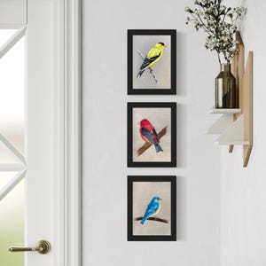 Arte mural de pájaros, juego de arte de pájaros de 5 x 7, impresión de dibujo, arte mural de galería, pájaro azul, pinzón amarillo, tangara escarlata, tarjetas multiusos, colores primarios