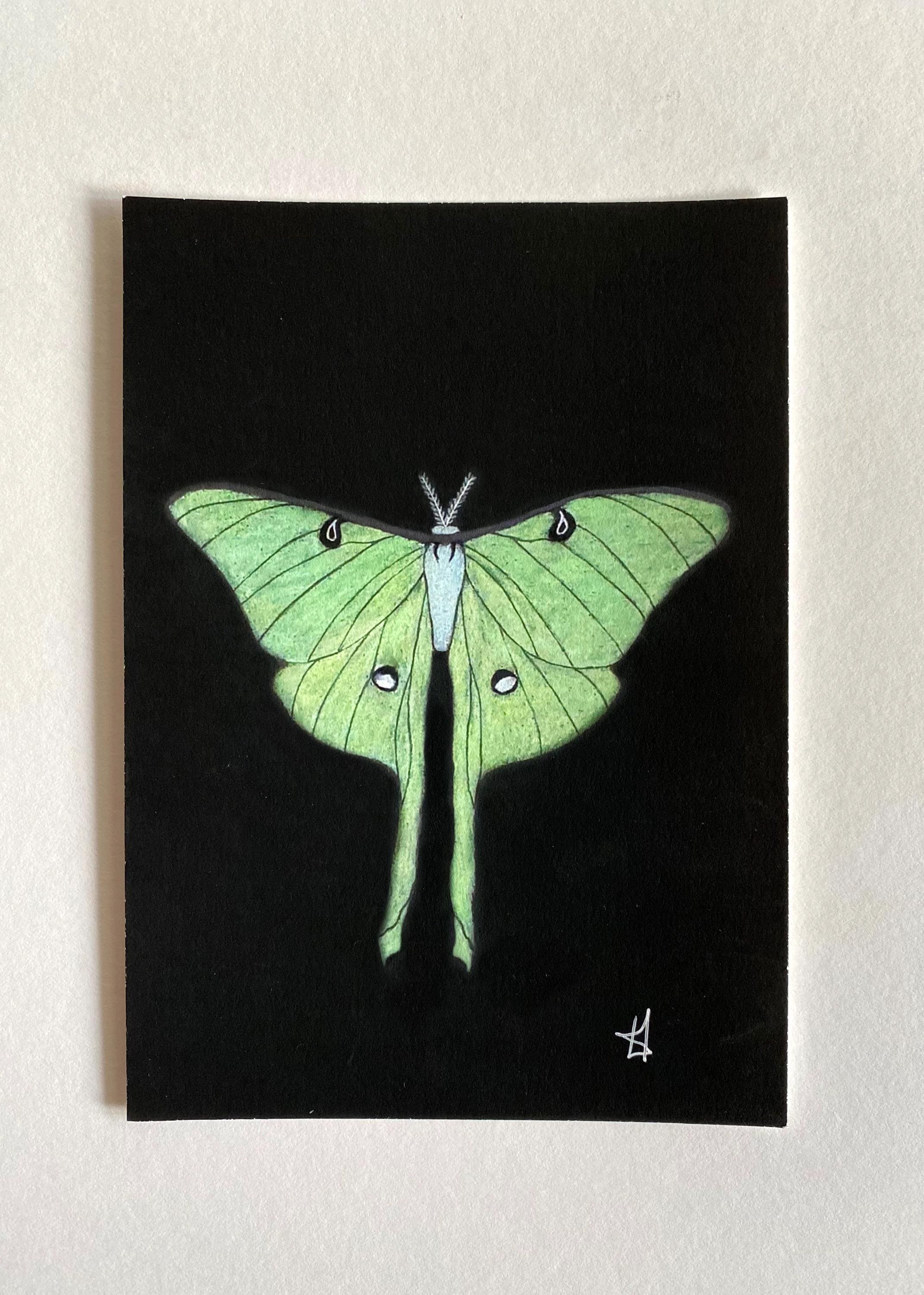 Luna Moth Art Print Set: Phases of the Moon, Cottagecore Home Decor - Etsy