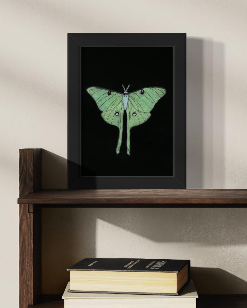 Luna Moth Art Print Set: Phases of the Moon, Cottagecore Home Decor - Etsy