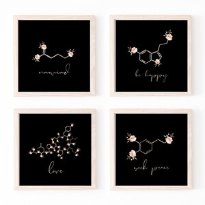 May include: Four framed prints with black backgrounds and white text. Each print features a chemical structure with floral accents. The text on the prints reads "unwind", "be happy", "love", and "seek peace".