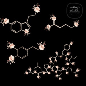 May include: A digital illustration of five different chemical structures with pink flowers attached to each structure. The text "mallory's collection anatomy art and medical prints" is in the upper right corner of the image.