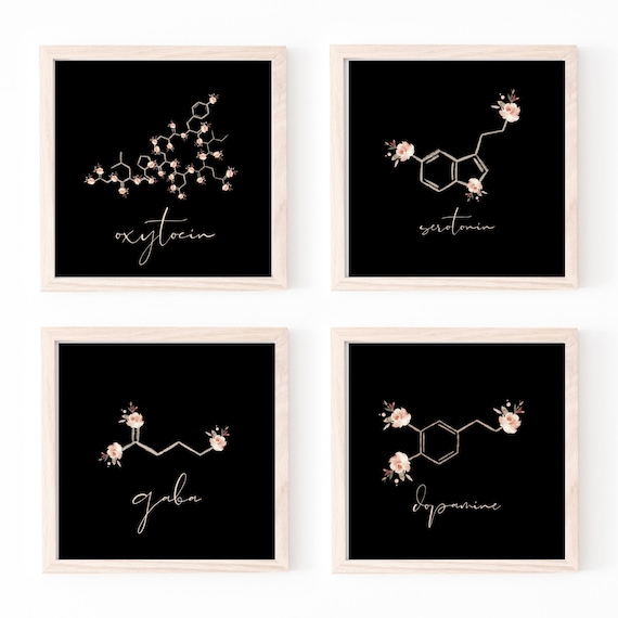 Oxytocin Serotonin Dopamine SET / Hormone Art / GABA / Chemistry Art / Neuroscience Art / Brain Art / Nurse Art / Wall Art / Science Decor