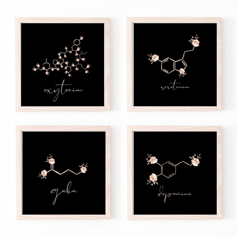 May include: Four black and white prints with floral accents and the chemical structures of oxytocin, serotonin, GABA, and dopamine. Each print has the name of the chemical written below the structure.