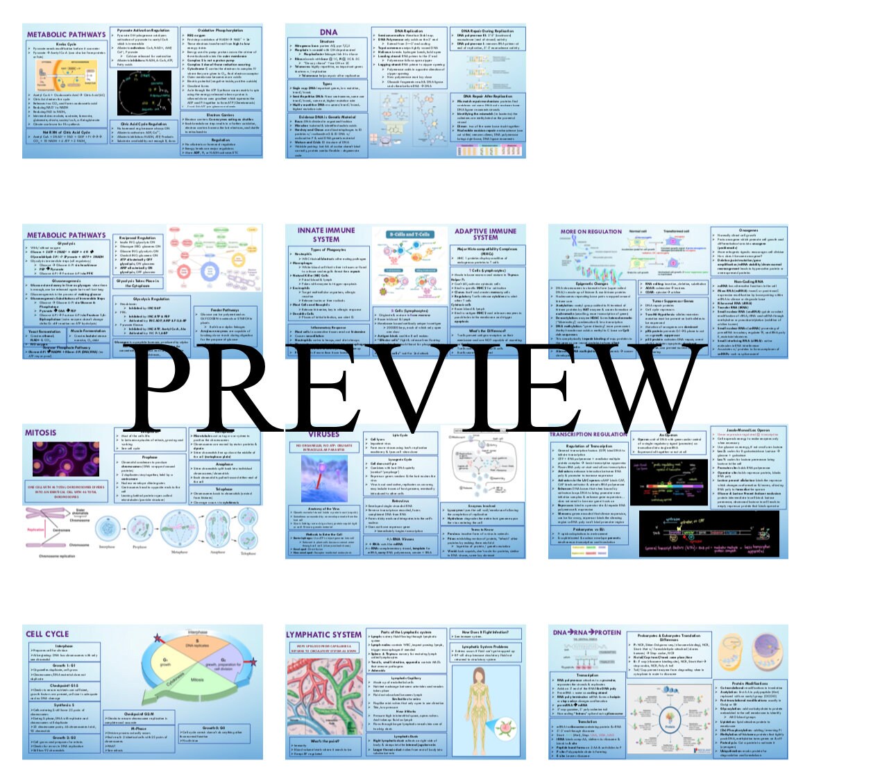 Bio, Biochem Mcat Study Guide / Study Guide / MCAT / Metabolic Pathways ...