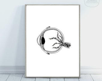 Arte científico / Impresión científica / Decoración de la pared / Regreso a la escuela / Arte del dormitorio / Graduación de enfermera / Regalo de enfermera / Regalo de optometrista / Regalo de estudiante de medicina