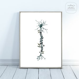 Neuron Anatomy Wall Art / Neuron Artwork / Med School Graduation Gift / Neuroscience / Psychology Art / Science Wall Art / Science Decor