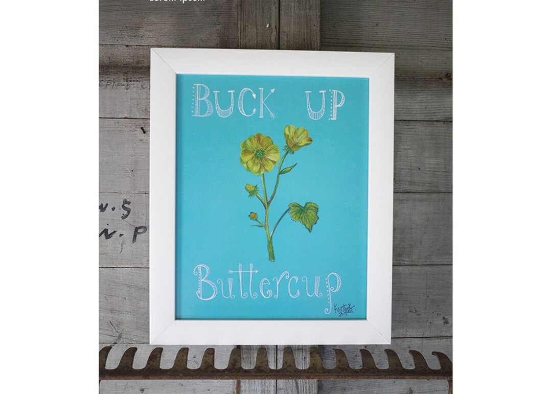 Buck up Buttercup Art Print/ Hand Drawn in USA Etsy