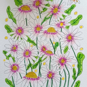 The Daisy Age Original A4 pen drawing on heavy archive paper. Watercolour, oil pens and pen and ink.