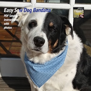 Easy Sew Dog Bandana - Make your own pattern, sew in an hour! Instant pdf download, great for beginners, kids, simple instructions, photos.