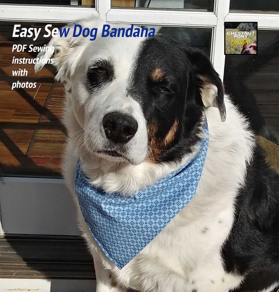 Quick & Easy Dog Bandana Sewing For Beginners (How To Make Dog Bandana Sew) - 6bebwax
