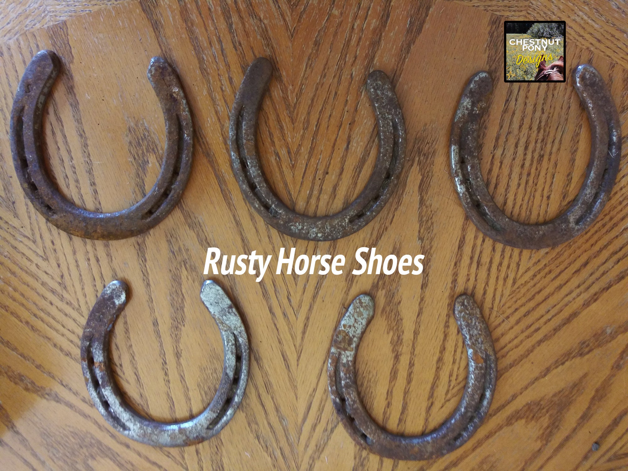 Subculture 　HORSE SHOE GOODLUCK Classy Brass Collectible Horseshoe Good Luck Horse Shoe Naal