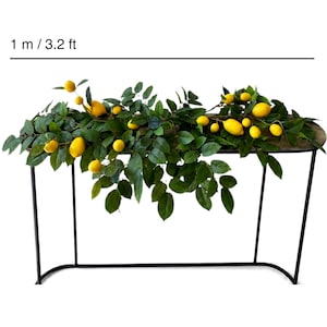 Op de afbeelding: Een decoratieve slinger met groene bladeren en gele citroenen gedrapeerd over een zwarte metalen sidetable. De tekst 1 m / 3.2 ft is zichtbaar boven de slinger, wat een lengte van 1 meter aangeeft voor dit botanische arrangement.