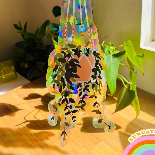 SUNCATCHER Peperomia rotundifolia Hanging Plant | Rainbow Suncatcher, Sticker, Rainbow Maker, Decal Window Decal, Window Sticker  16"