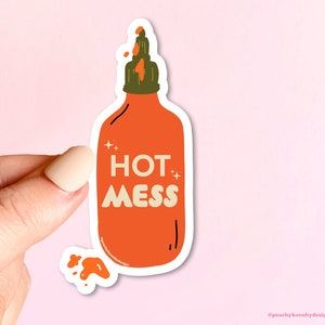 MAGNET Hot Mess | Fridge Car Magnet, Decorative Magnet, Car Decal, Weatherproof Magnet  4"