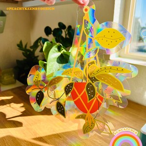 SUNCATCHER Begonia maculata Hanging Plant | Rainbow Suncatcher, Sticker, Rainbow Maker, Decal Window Decal, Window Sticker  10"