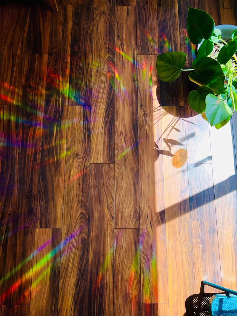 Op de afbeelding: Een houten vloer met een regenboogprisma-licht dat op het oppervlak reflecteert. Een plant in een pot met grote groene bladeren bevindt zich in de rechterbovenhoek van de afbeelding.