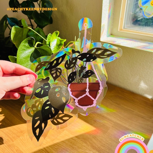 SUNCATCHER Monstera adansonii Hanging Plant | Rainbow Suncatcher, Sticker, Rainbow Maker, Decal Window Decal, Window Sticker  10"