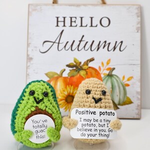May include: Two crocheted plushies, one avocado and one potato, holding signs with positive messages. The avocado says "You've totally guac this!" and the potato says "Positive potato. I may be a tiny potato, but I believe in you. Go do your thing!"
