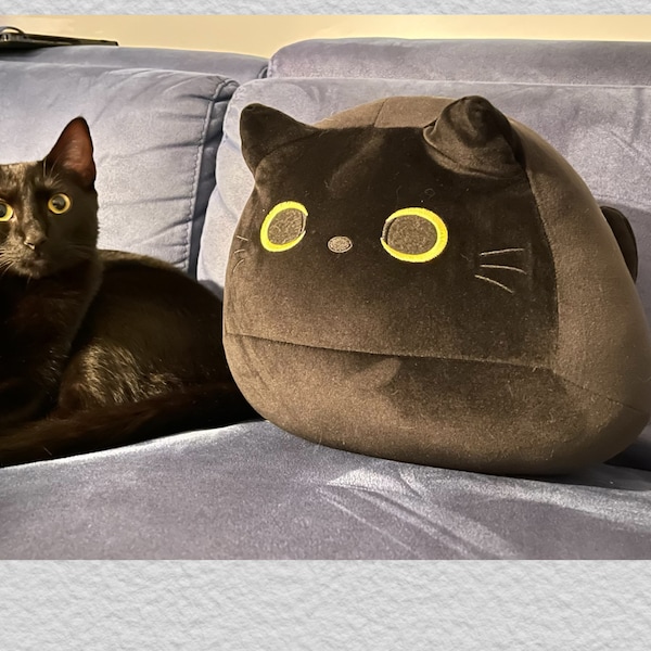 Plush Cat Throw Pillow - Etsy
