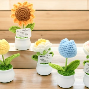 May include: Five crocheted flower arrangements in white pots. The flowers are a yellow tulip, a white rose, a blue tulip, a pink rose, and a brown sunflower. Each flower has a small card with a quote about the flower.
