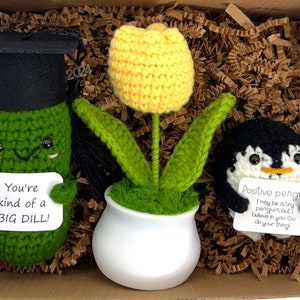 May include: A gift box filled with brown packing paper contains three crocheted items: a green pickle wearing a graduation cap, a yellow crocheted flower in a white pot, and a black and white penguin holding a sign that says "Positive penguin I may be a tiny penguin but I believe in you Go do your thing!"