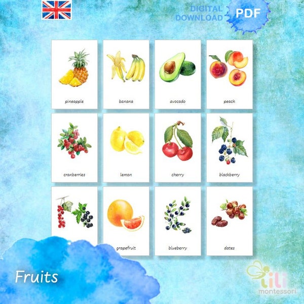 FRUIT Three part cards Montessori ⁕28 Editable Cards ⁕ Multilingual possibility ⁕4 fonts⁕ Nomenclature ⁕ Vocabulary ⁕Printable ⁕ Biology