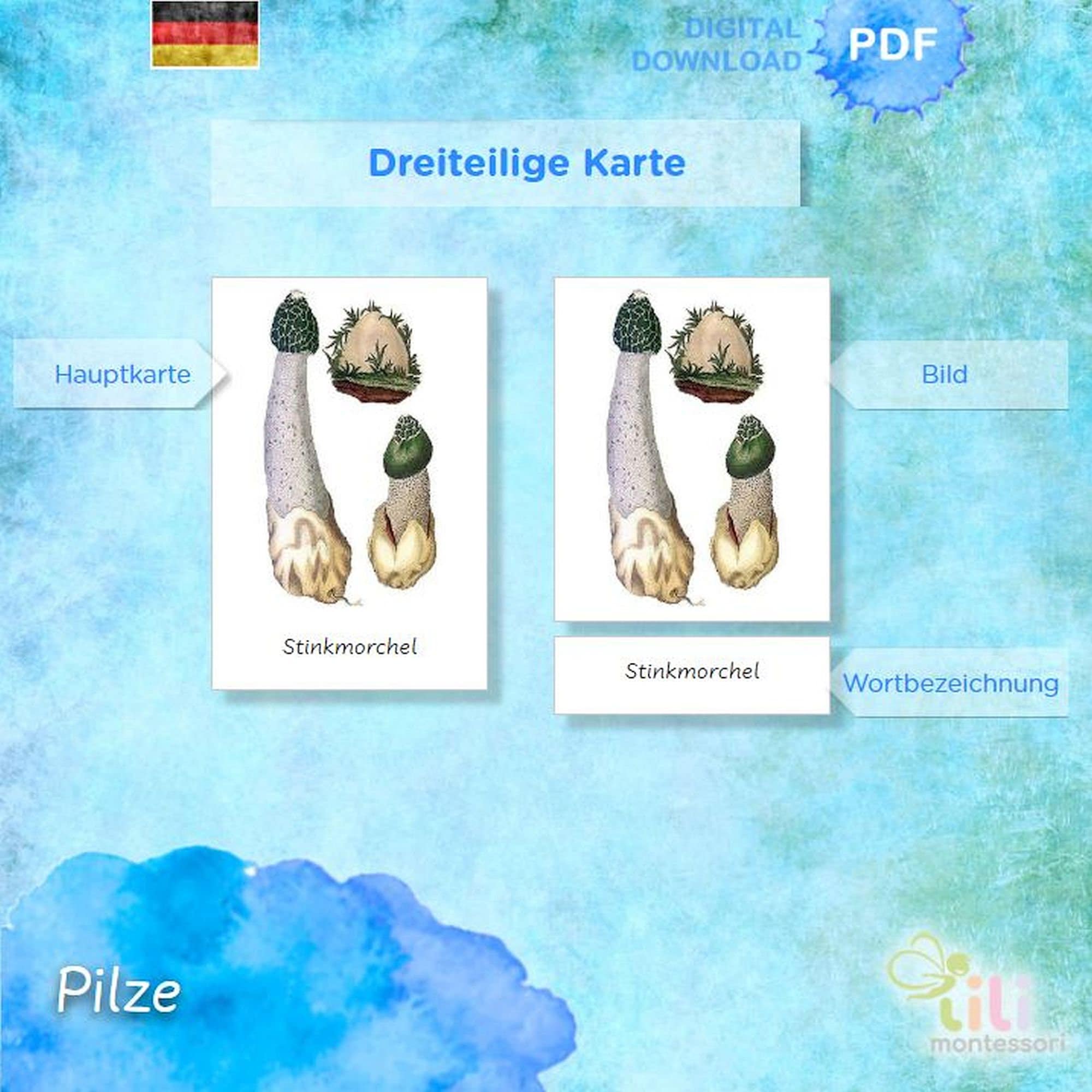 MUSHROOMS 3 Part Cards Montessori ⁕ 24 Editable Cards⁕ Multilingual ...
