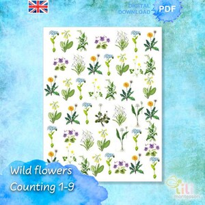 WILD FLOWERS Counting 1-9 Montessori ⁕ Numeracy ⁕ Numbers ⁕ Counting ⁕ Educational Material ⁕ Printable ⁕ Zahlen und Rechnen von 1 bis 9