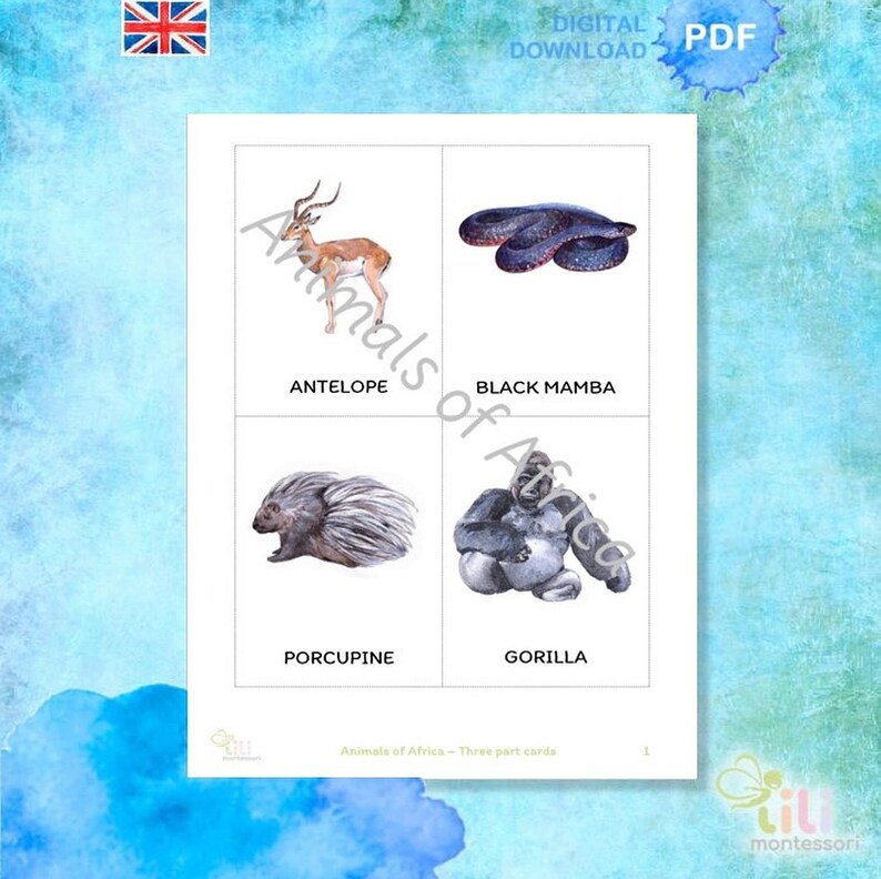 ANIMALS OF AFRICA Three Part Cards Montessori ⁕ Flash Cards ...