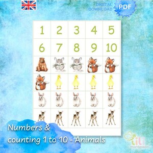 Numbers and counting Animals ⁕Montessori Numeracy ⁕ Numbers⁕  Counting ⁕ Educational Material ⁕ Printable ⁕ Math