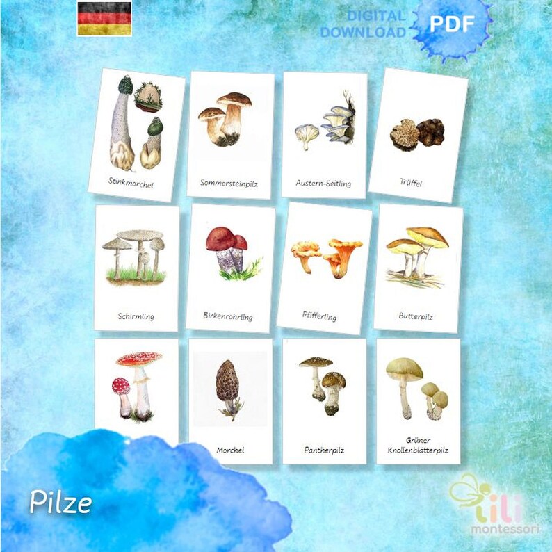 MUSHROOMS 3 Part Cards Montessori 24 Editable Cards - Etsy