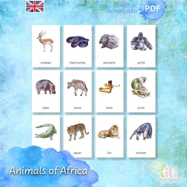 ANIMALS OF AFRICA Three part cards Montessori ⁕ Flash Cards ⁕ Nomenclature Cards ⁕ Nature ⁕ Printable ⁕ Tiere Afrikas Nomenklatur Karten