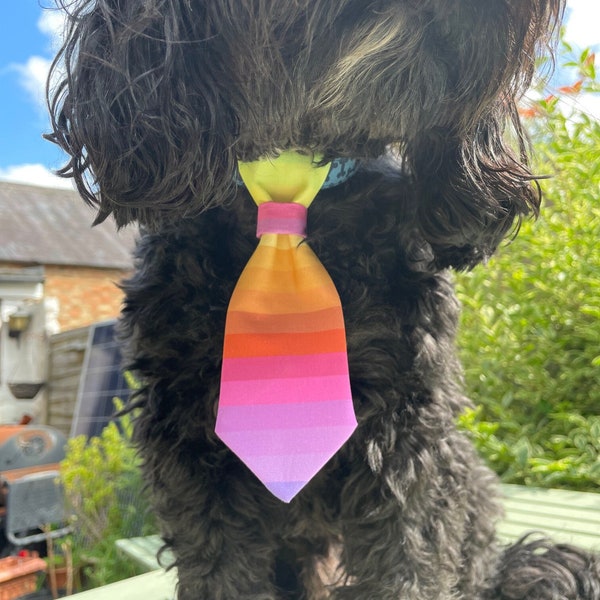 Rainbow, Gay Pride, LGBT, Parade, London, Brighton Celebration Dog Tie ( Handmade in UK)