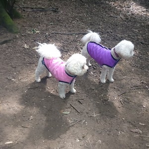 Cooling vest for dogs all sizes