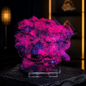 May include: A mineral specimen displaying intense fluorescent properties with a vibrant hot pink and deep violet crystalline texture. The cluster is mounted on a clear acrylic stand, showcasing a jagged, irregular surface with high color contrast.