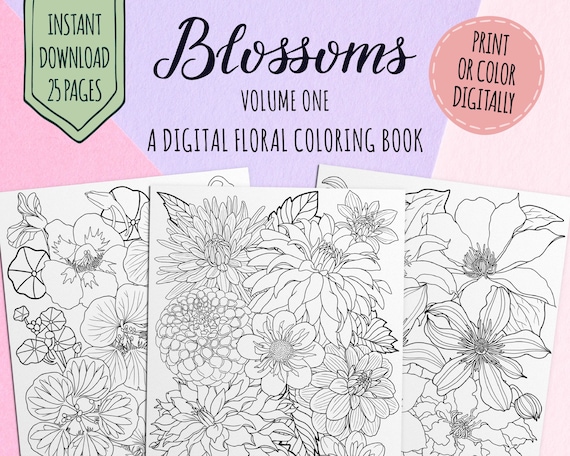 Download Blossoms Volume 1 25 Page Flower Adult Coloring Book Pdf Etsy