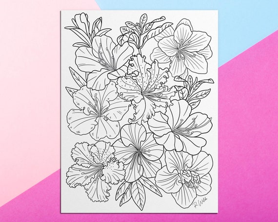 5 Floral Coloring Pages/adults/digital Download 1 